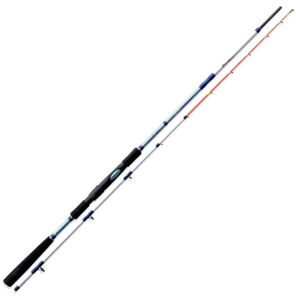 CANNA Fishing Ferrari TAI CATCHER SPECIAL SALTWATER 100 GR 2,10 MT